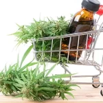 sites to buy magic mushroom selected by SandiegoMag