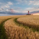 phone photography course