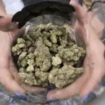 HHC hemp flower